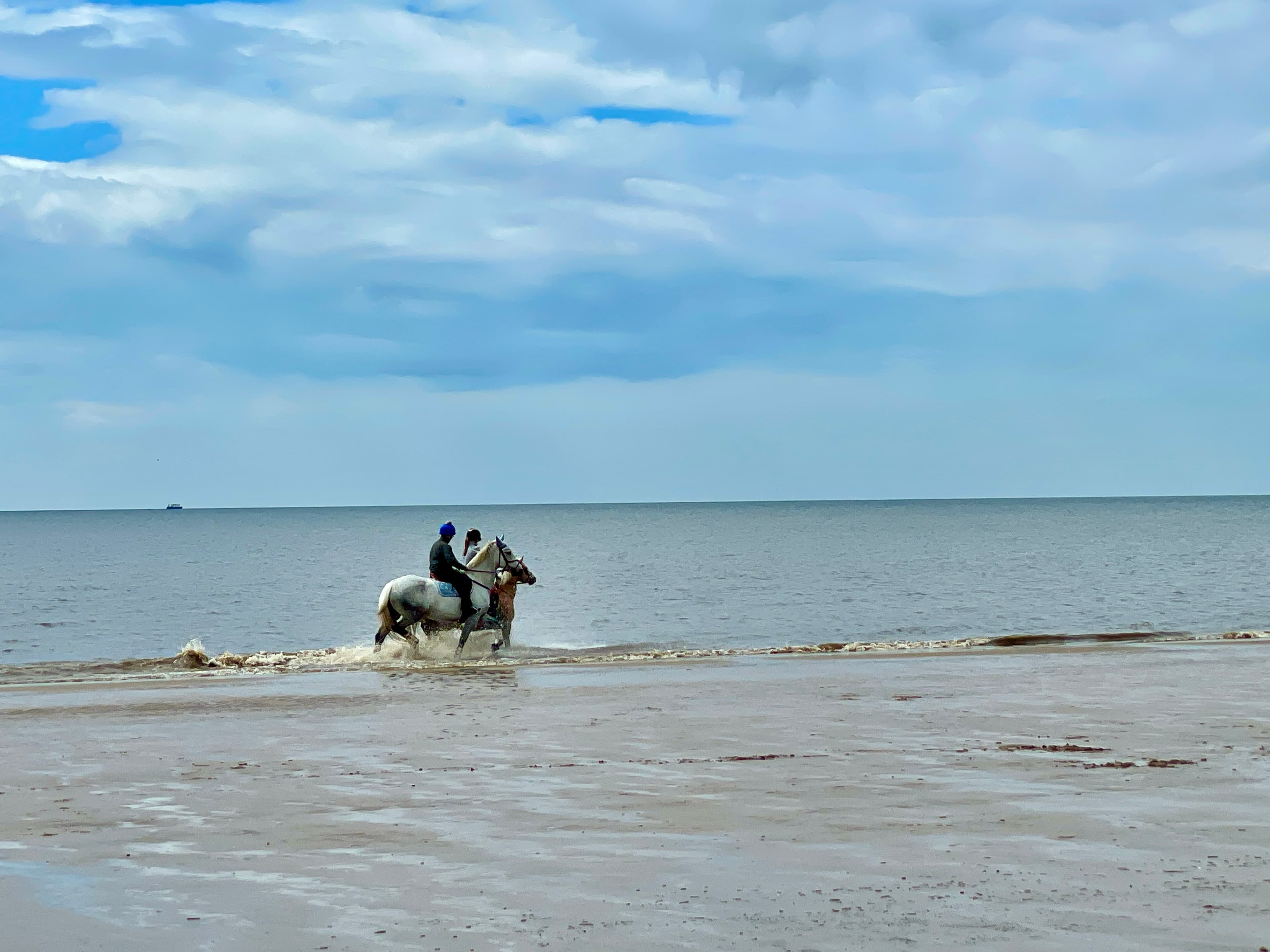 Horses on Formby Beach