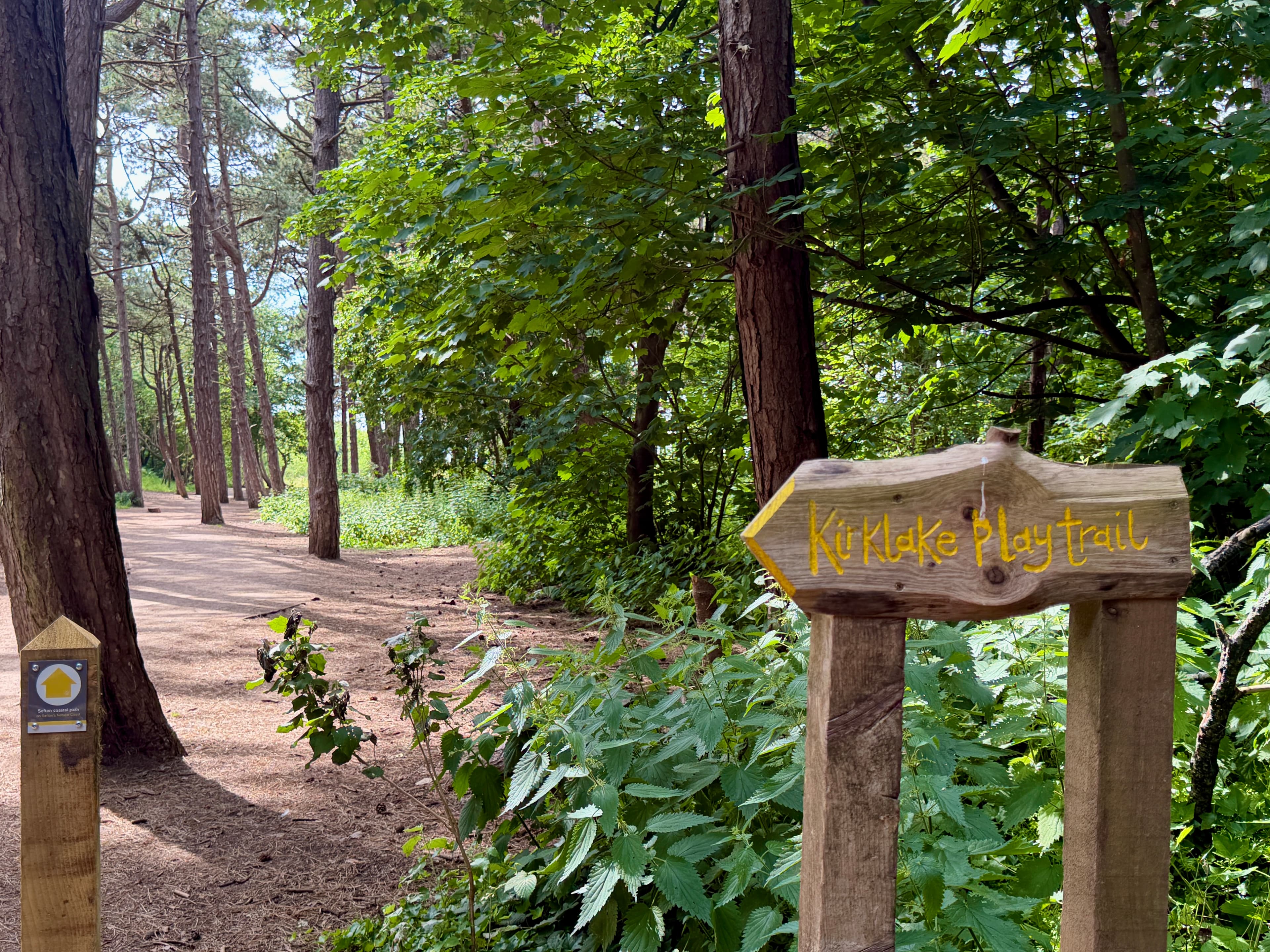 Formby Pinewoods Path