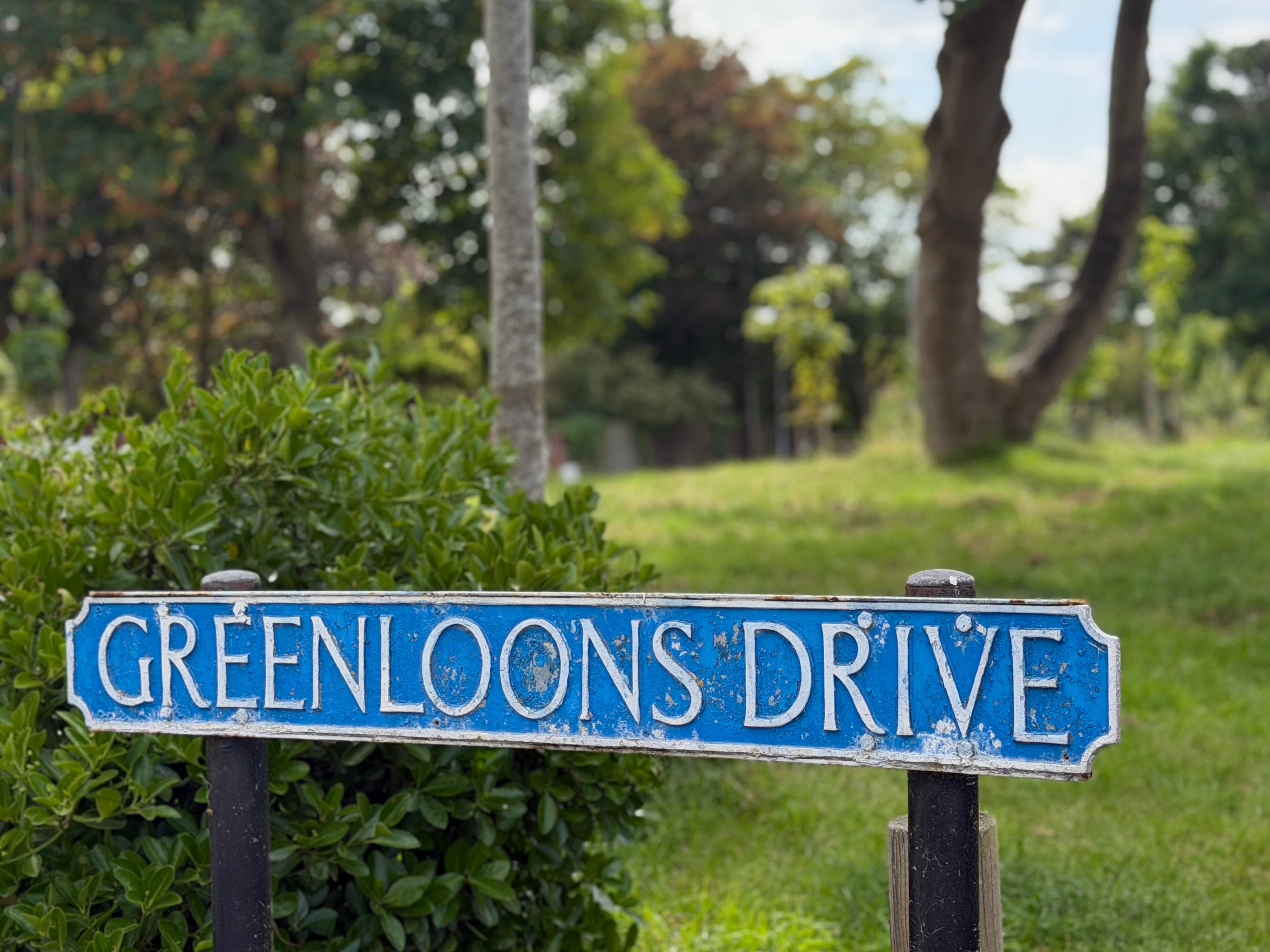 Greenloons Drive