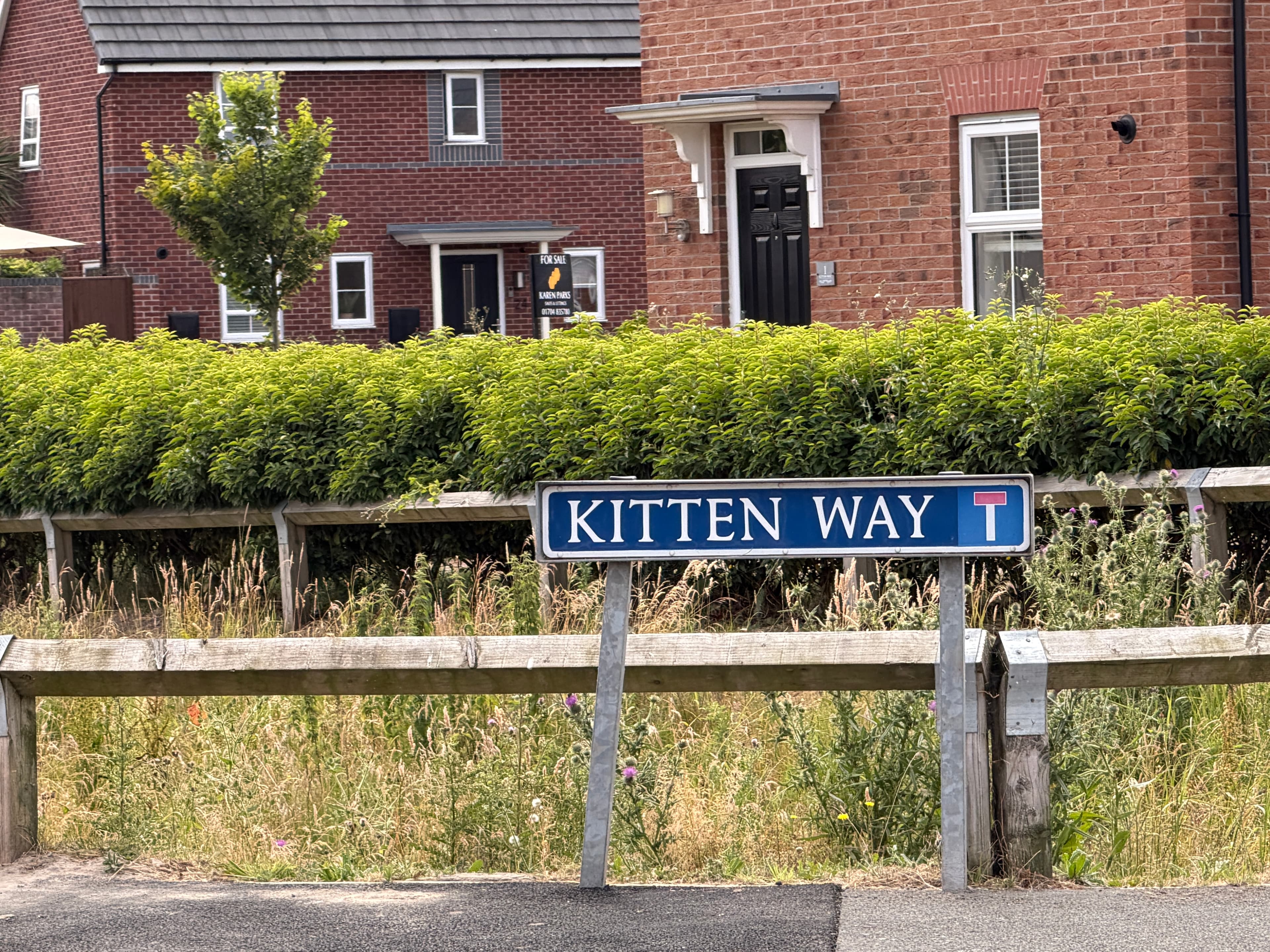 Kitten Way