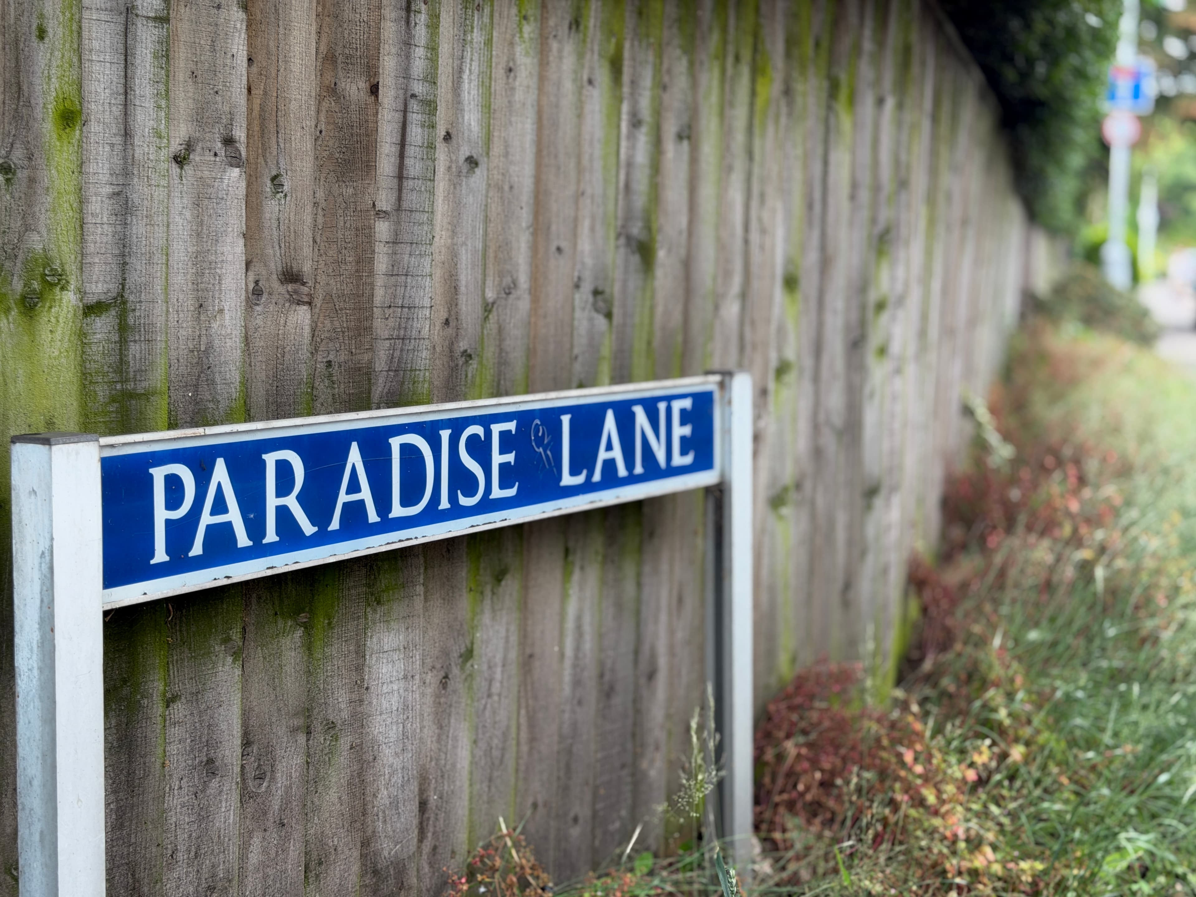 Paradise Lane