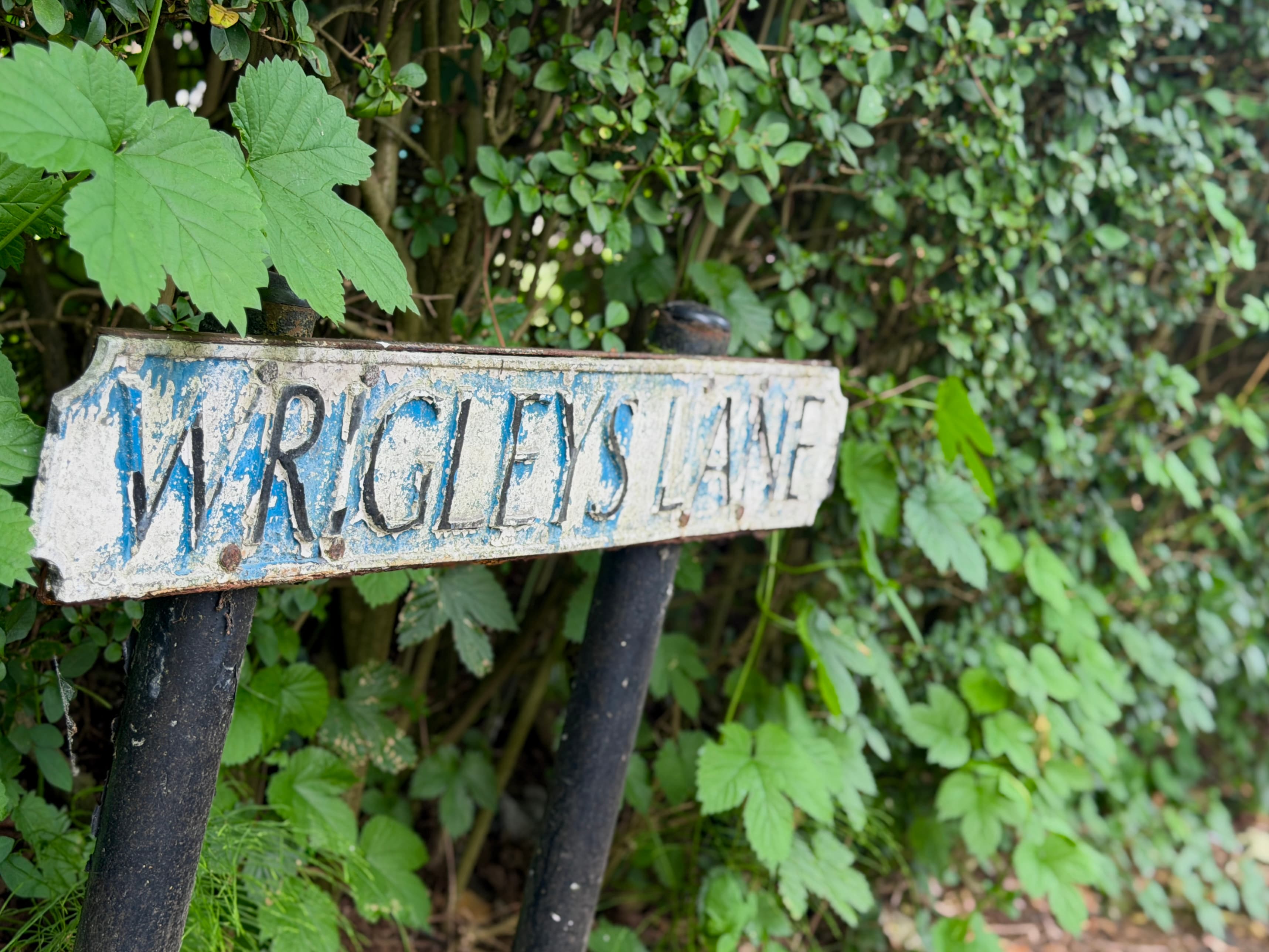 Wrigley's Lane